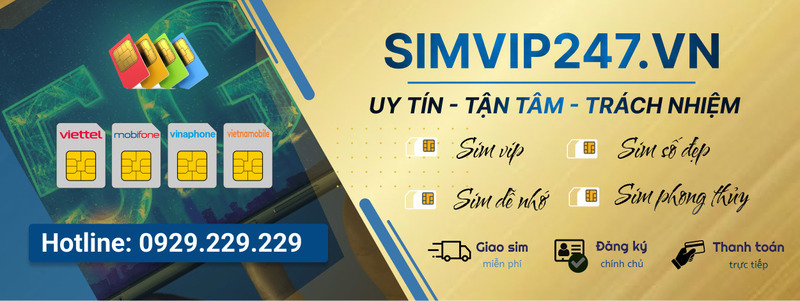 Cách kiểm tra thông tin SIM VinaPhone nhanh chóng và chính xác nhất